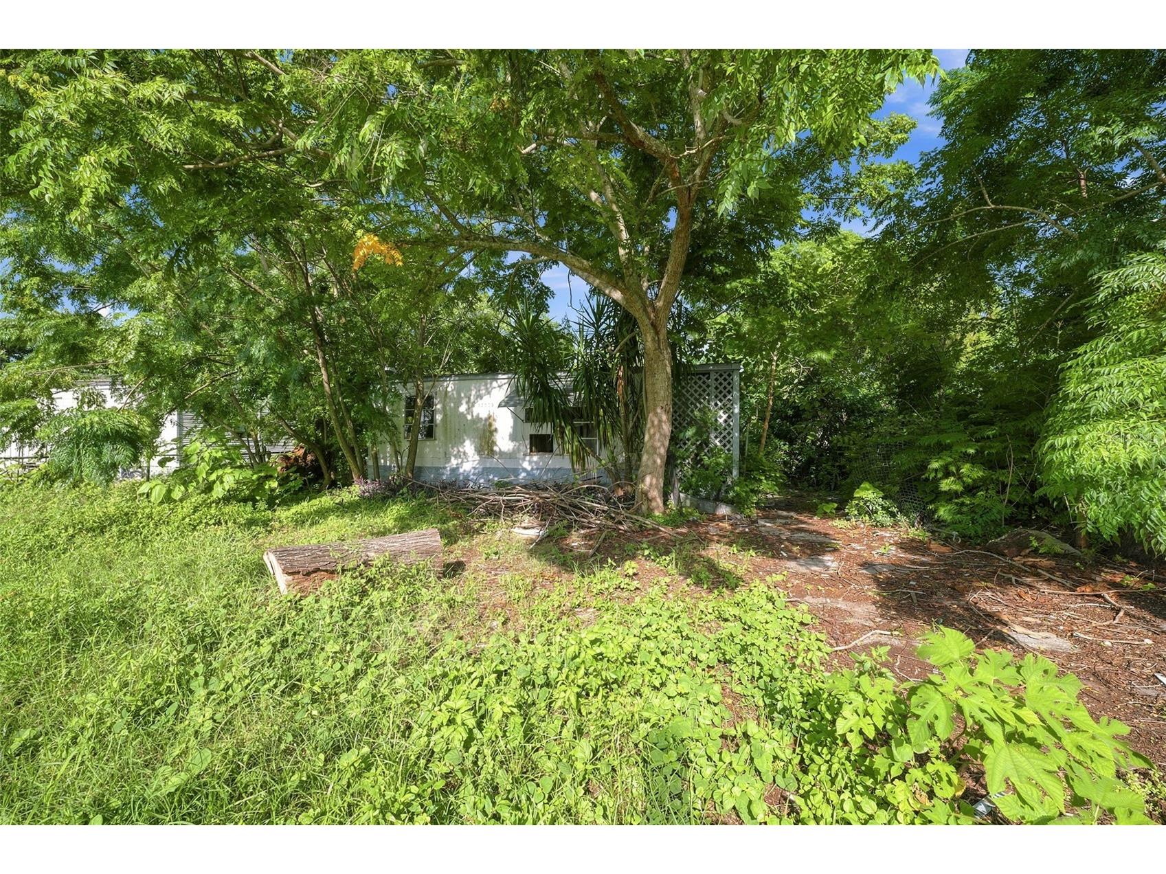 13129 Clermont Street Hudson FL 34667 W7887873 image2