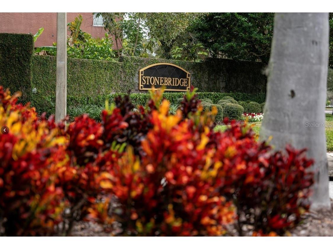 13129 Cog Hill Way Orlando FL 32828 S5149876 image38