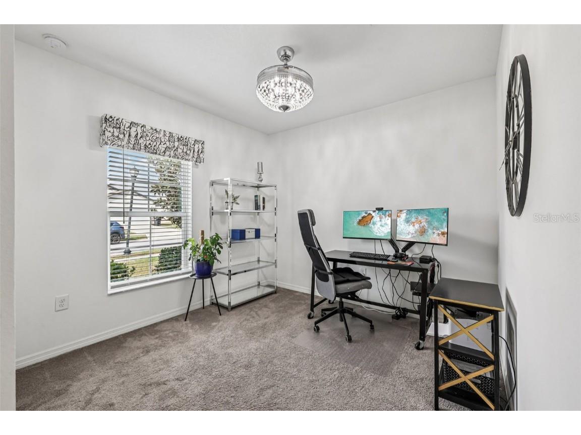 13129 Conquistador Loop Spring Hill FL 34610 TB8448844 image22