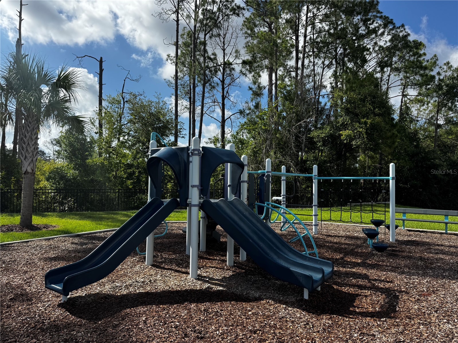 13129 Faro Court Winter Garden FL 34787 O6415958 image37