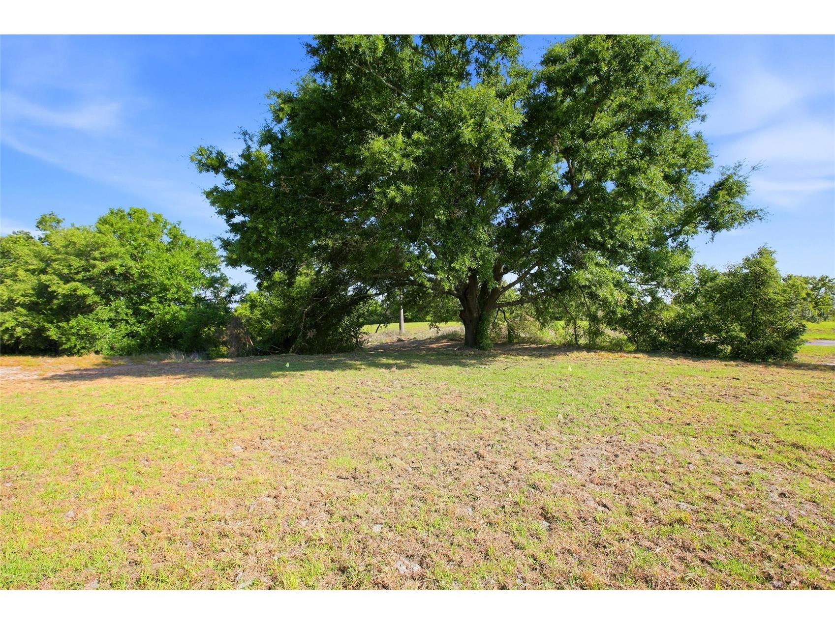 1313 Blue Heron Drive Sebring FL 33876 P4938438 image31