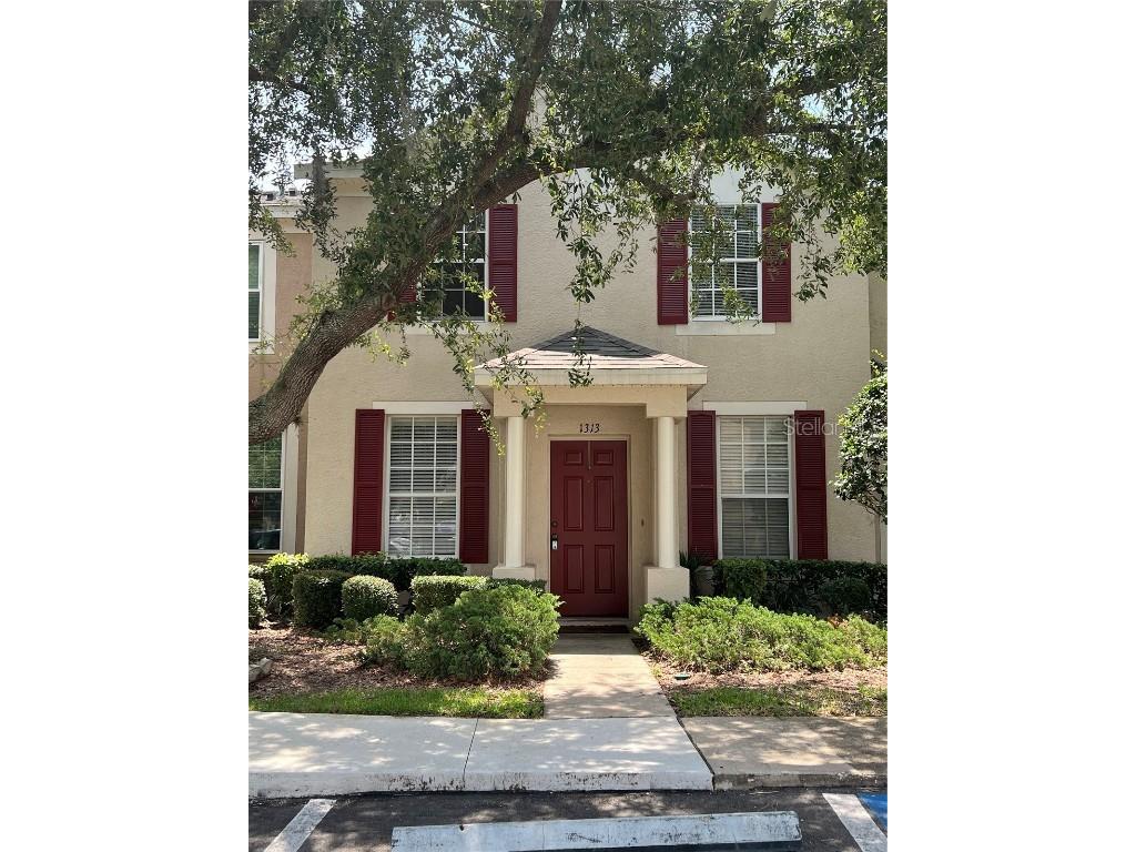 1313 Lyonshire Drive Wesley Chapel FL 33543 T3447989 image1