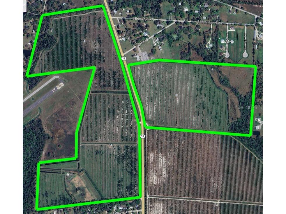 1313 SE Highway 31 Arcadia FL 34266 C7505499 image1