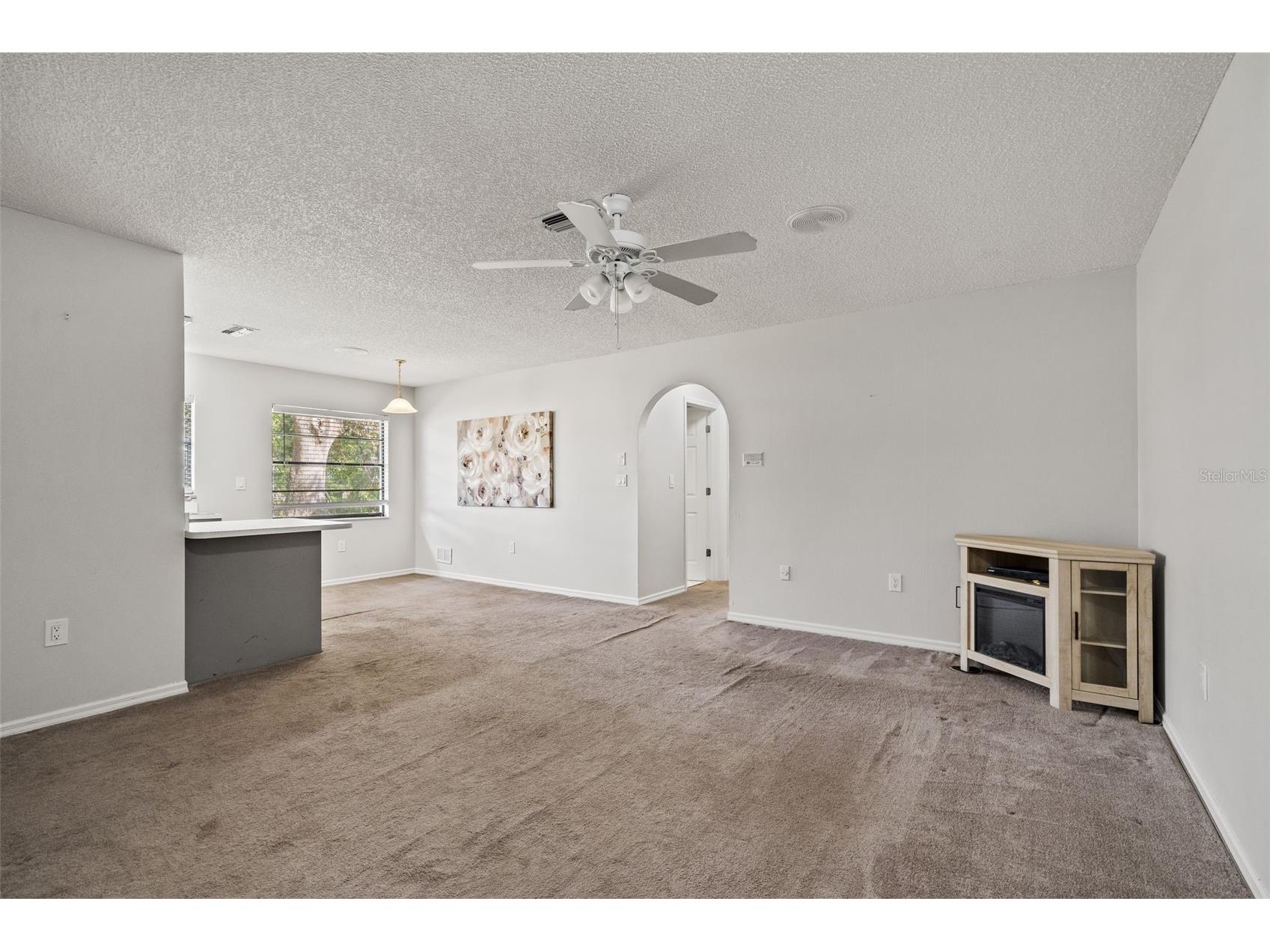 13130 Feather Street Spring Hill FL 34609 OM721361 image24