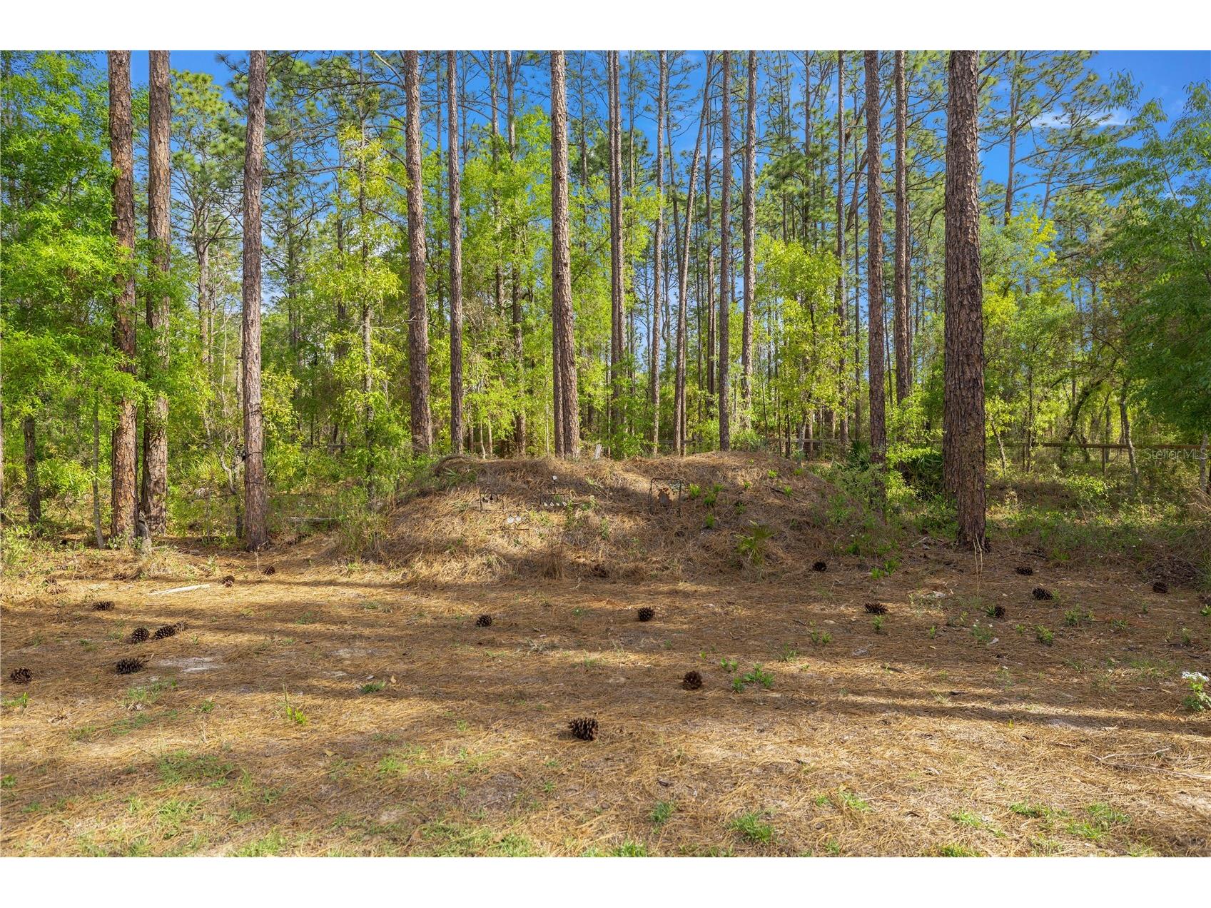 13131 SW 73rd Street Ocala FL 34481 OM722261 image22