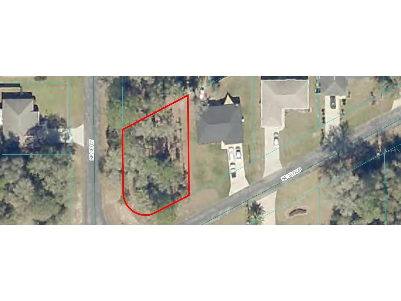 13132 NE 7th Loop Silver Springs FL 34488 OM696815 image1