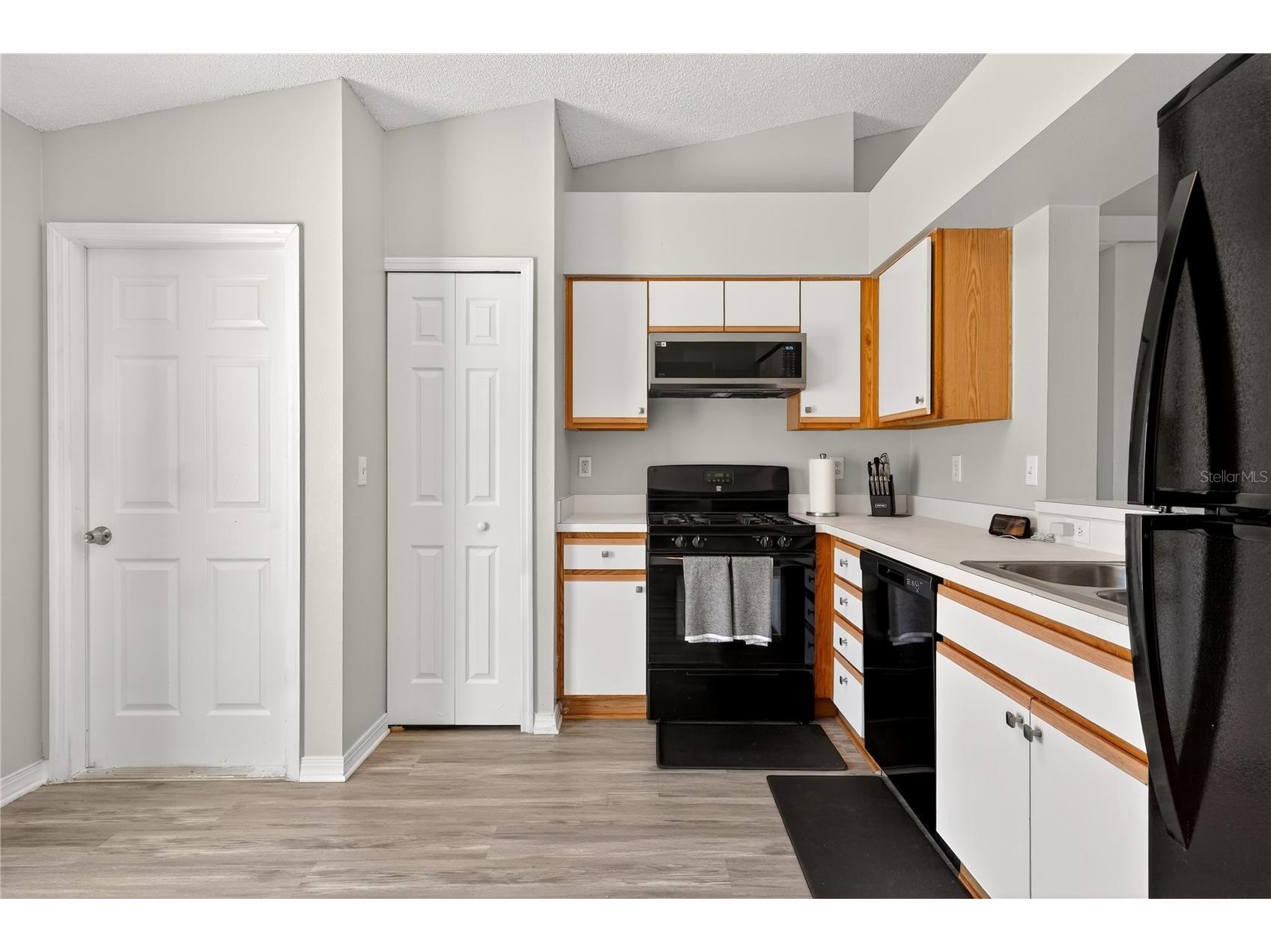 13133 Baneberry Ct Clermont FL 34711 O6384145 image4