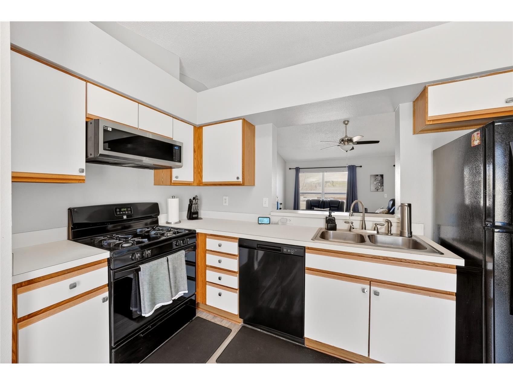 13133 Baneberry Ct Clermont FL 34711 O6384145 image6