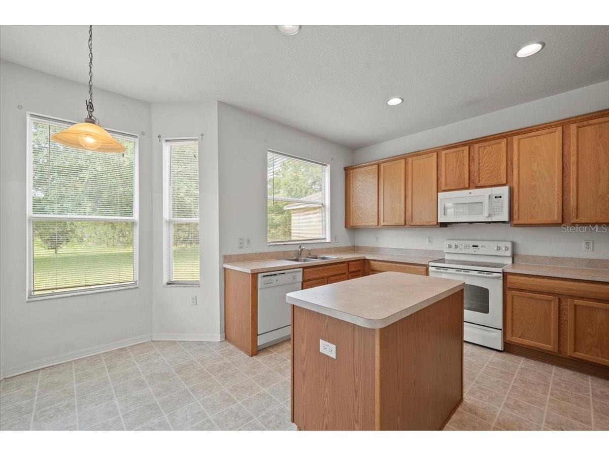 13133 Haverhill Drive Spring Hill FL 34609 W7886199 image22