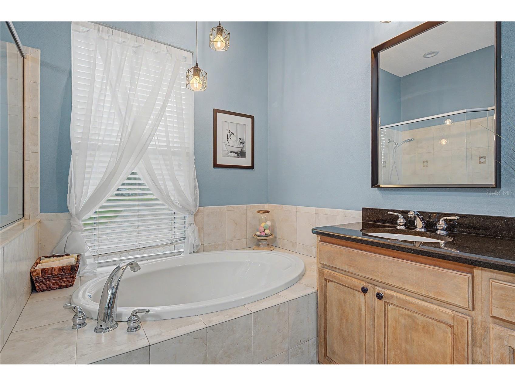 13134 Done Groven Drive Dover FL 33527 TB8525517 image25