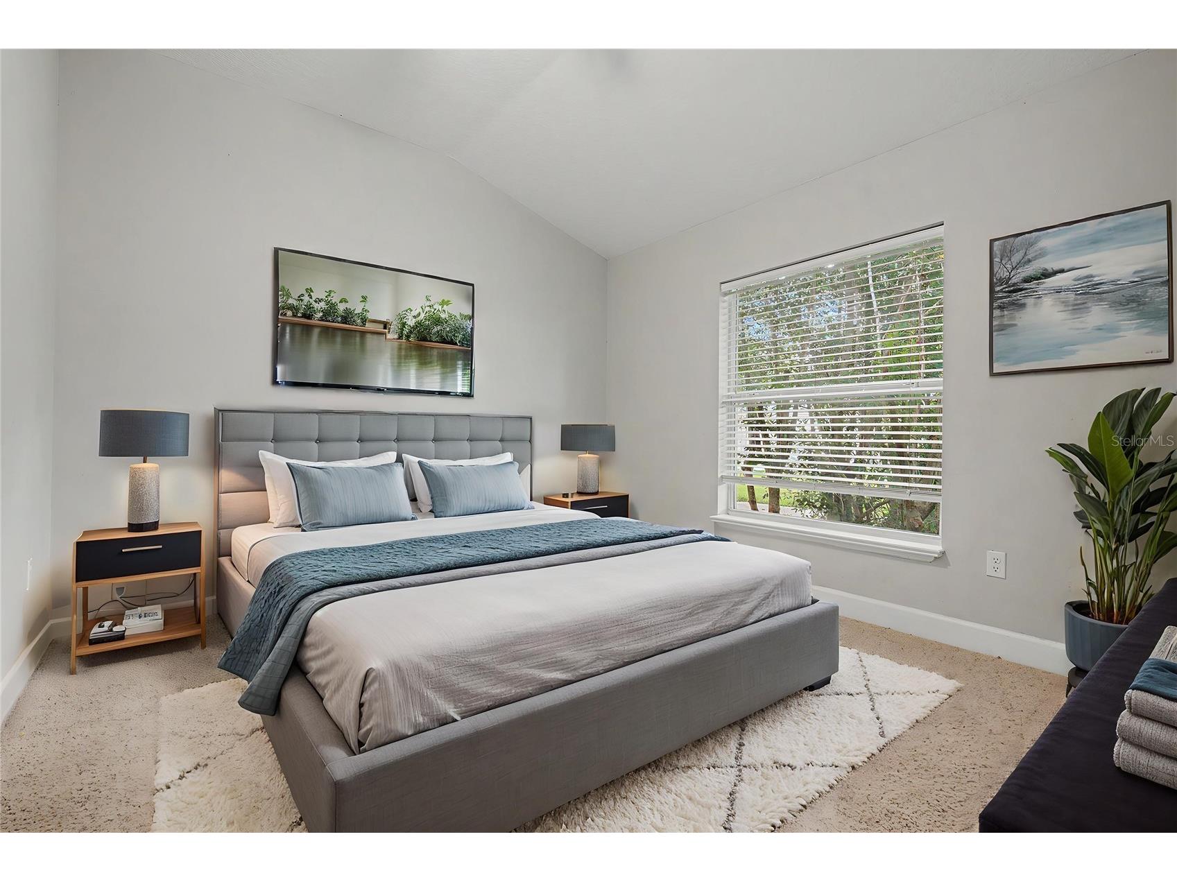 13134 Done Groven Drive Dover FL 33527 TB8525517 image27