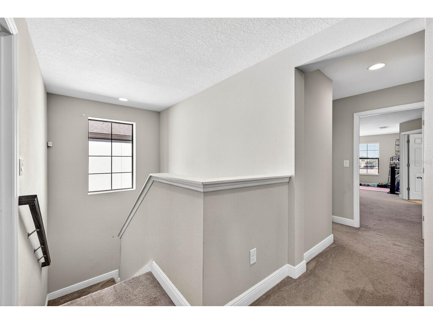 13134 Monach Isles Drive Riverview FL 33579 TB8470156 image25