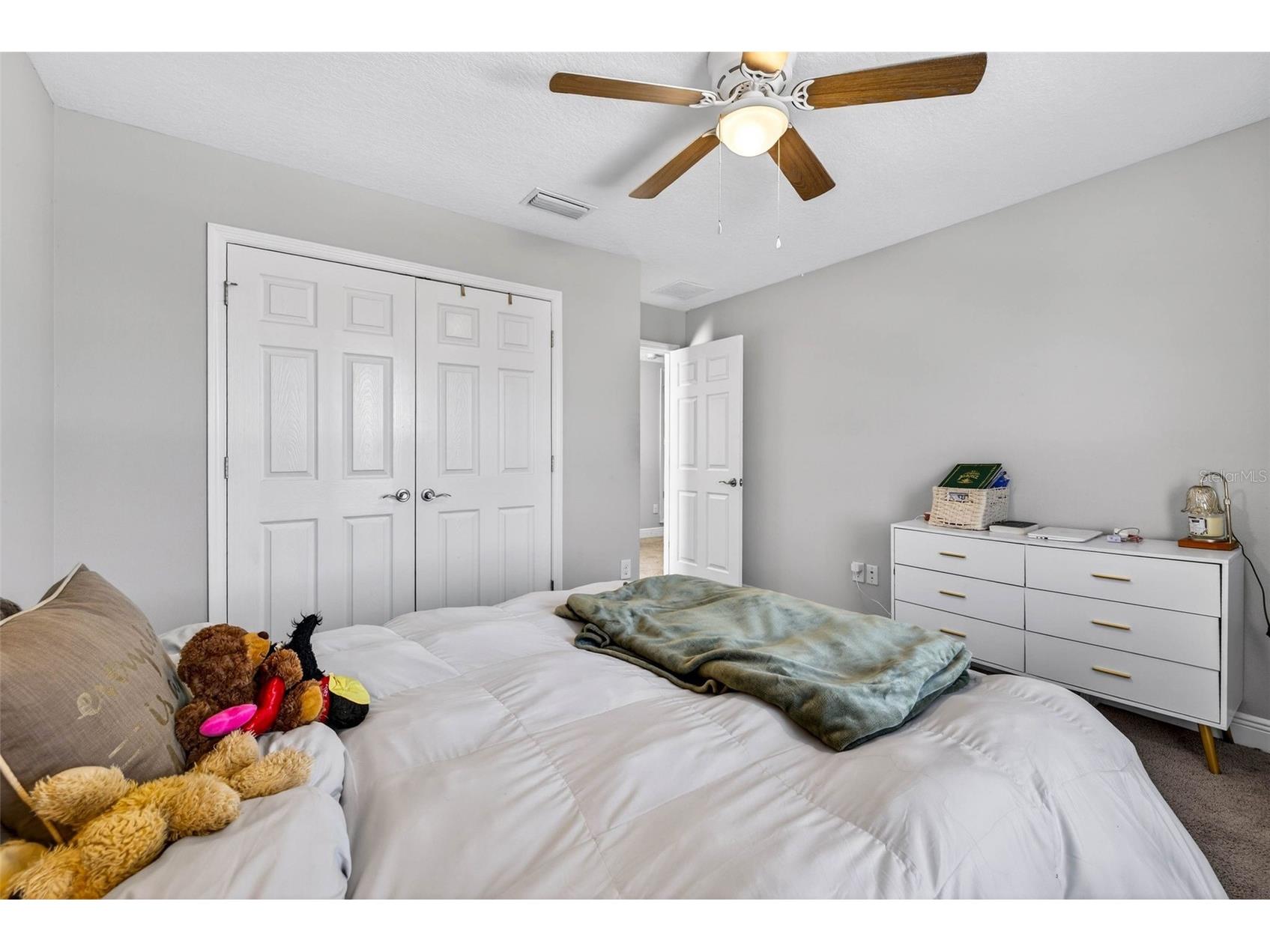 13134 Monach Isles Drive Riverview FL 33579 TB8470156 image32