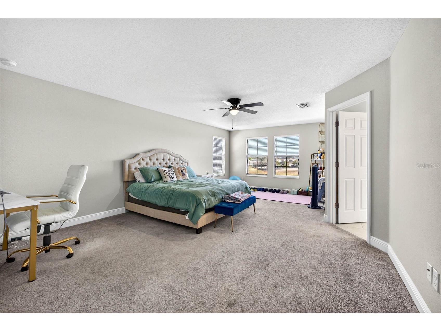 13134 Monach Isles Drive Riverview FL 33579 TB8470156 image38