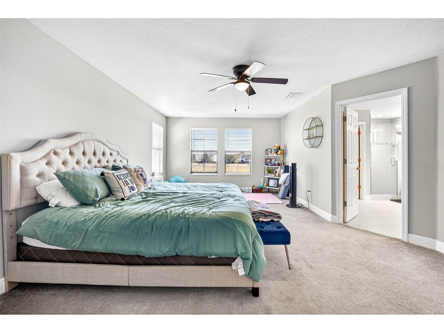 13134 Monach Isles Drive Riverview FL 33579 TB8470156 image39