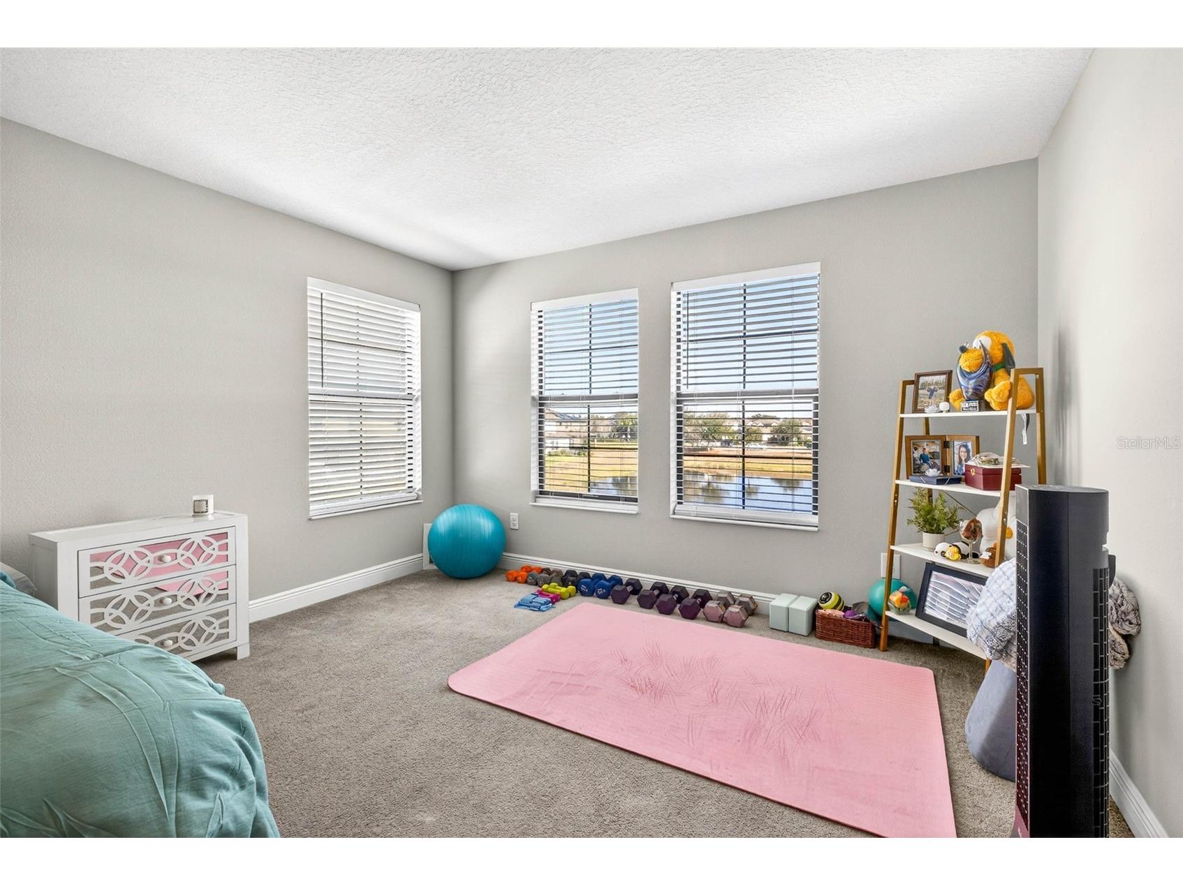 13134 Monach Isles Drive Riverview FL 33579 TB8470156 image40