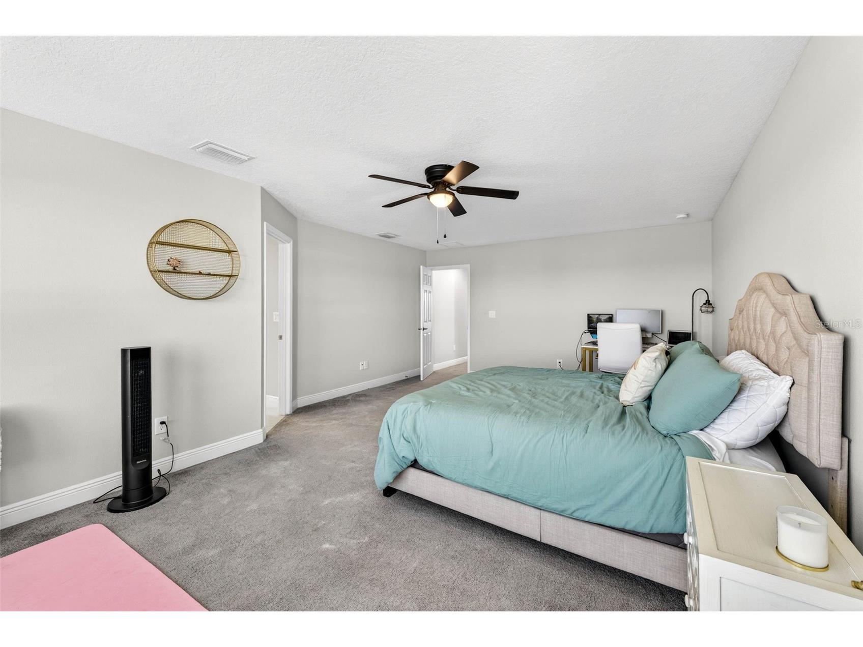 13134 Monach Isles Drive Riverview FL 33579 TB8470156 image41