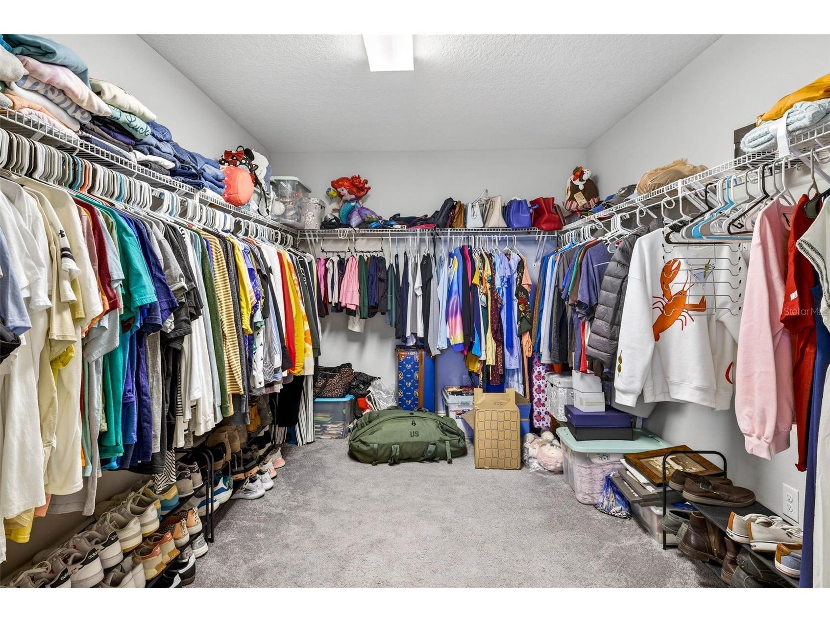 13134 Monach Isles Drive Riverview FL 33579 TB8470156 image45