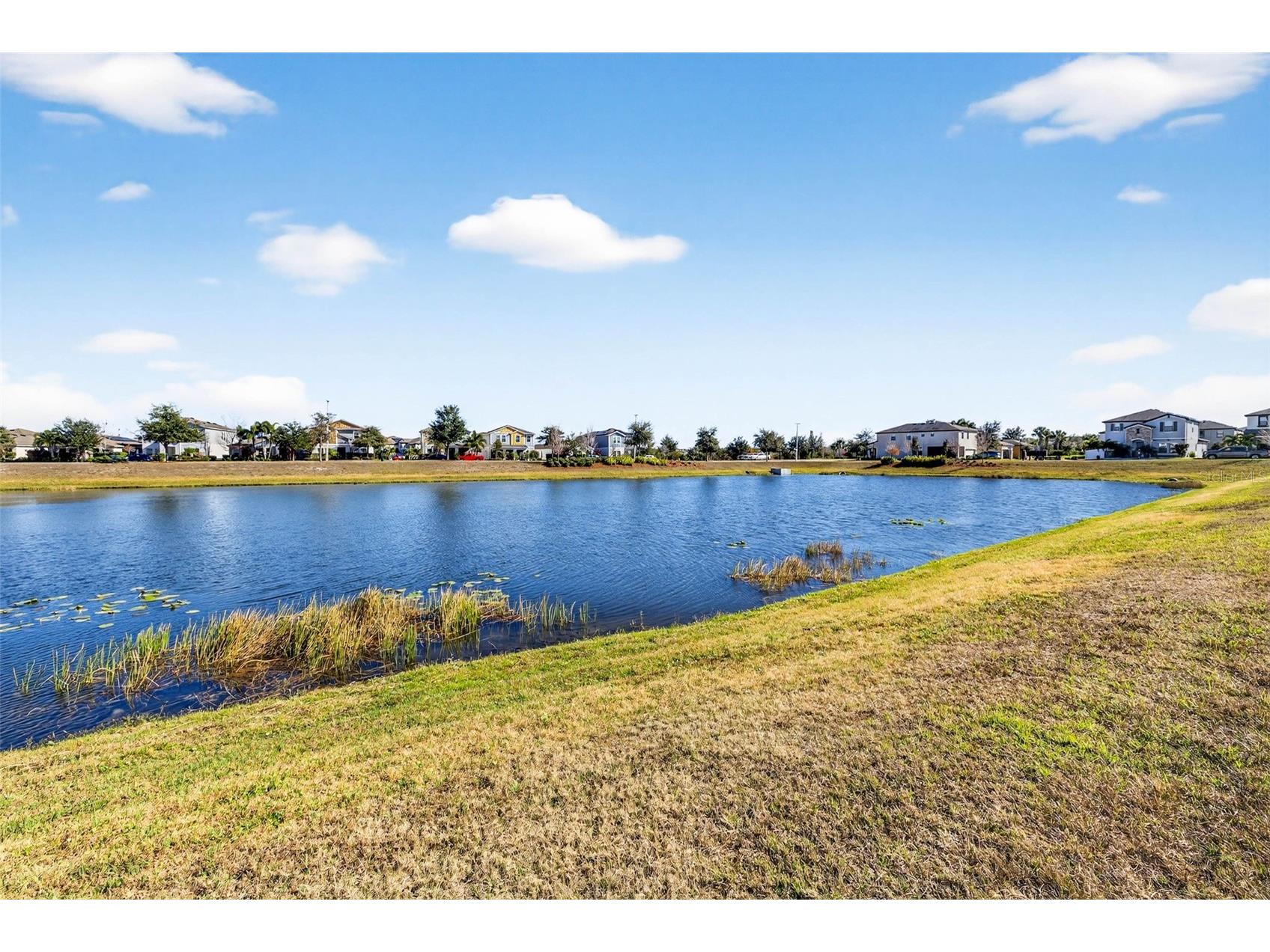 13134 Monach Isles Drive Riverview FL 33579 TB8470156 image53