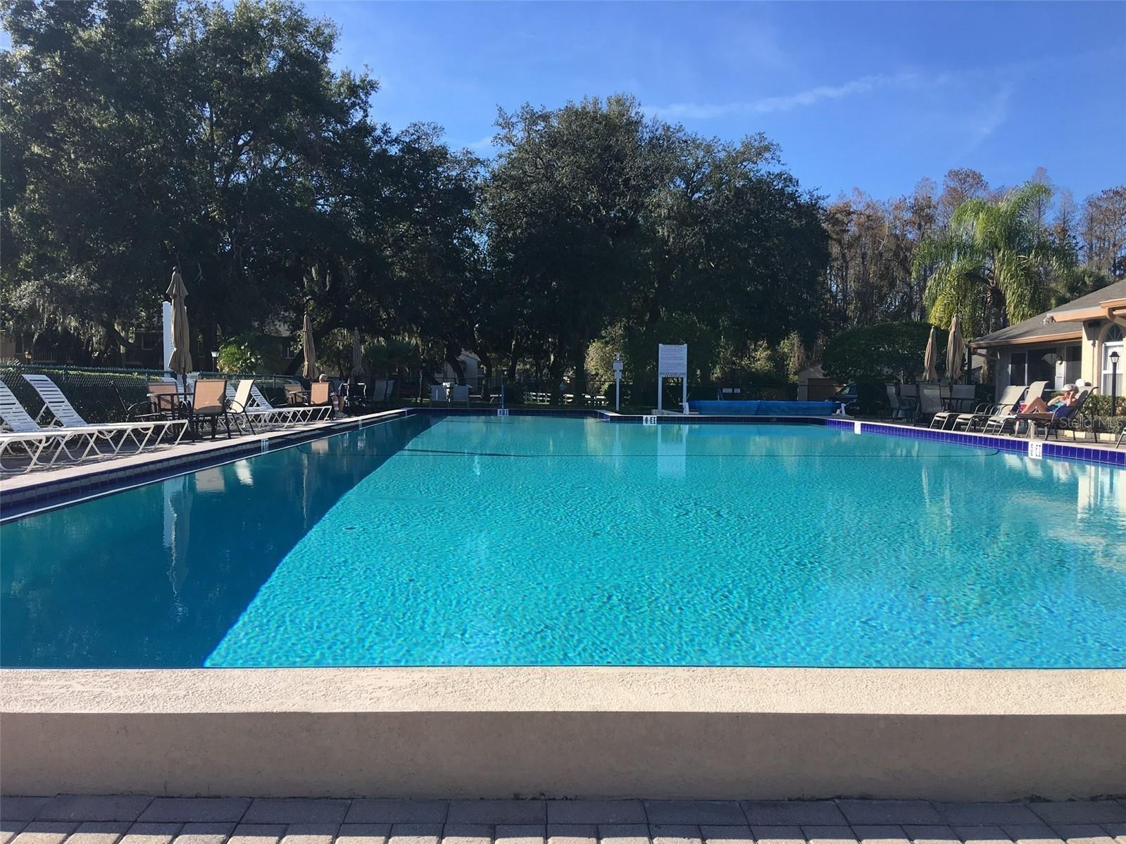 13136 Cypress Hill Drive #125A Hudson FL 34669 TB8457295 image25