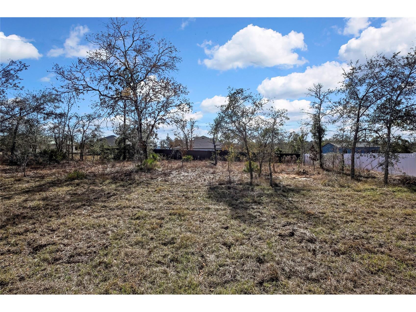 13126 Meadow Swallow Avenue Brooksville FL 34613 O6413874 image32