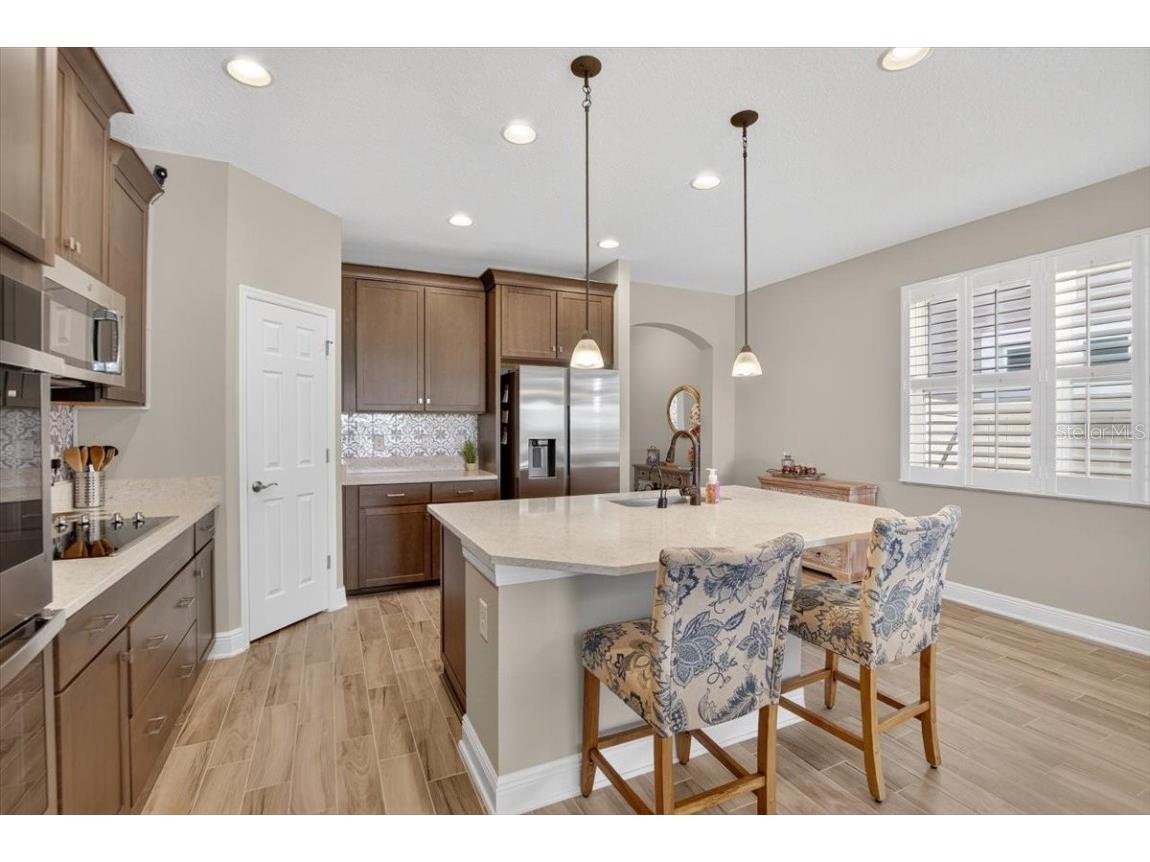 13136 Peachleaf Avenue Riverview FL 33579 TB8406074 image16