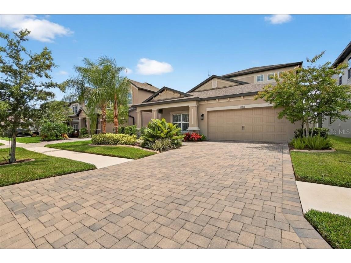 13136 Peachleaf Avenue Riverview FL 33579 TB8406074 image3