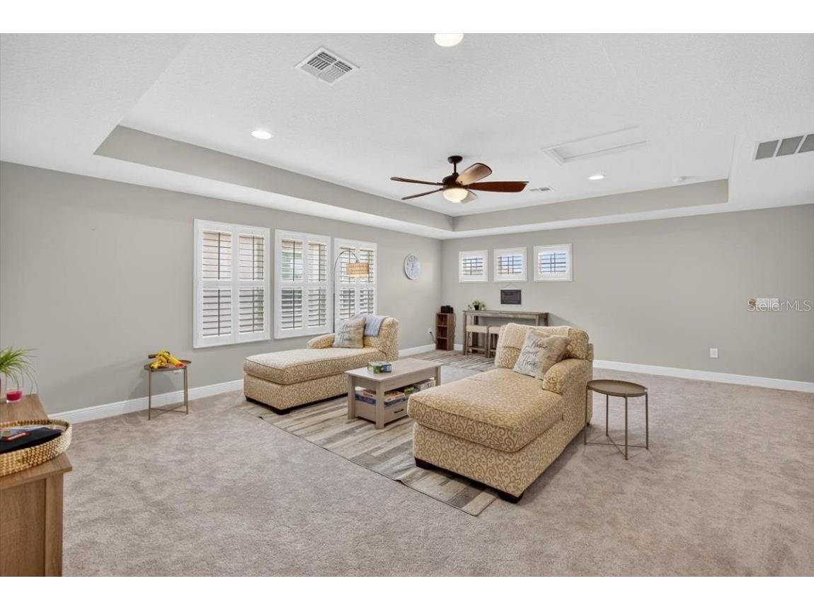 13136 Peachleaf Avenue Riverview FL 33579 TB8406074 image37