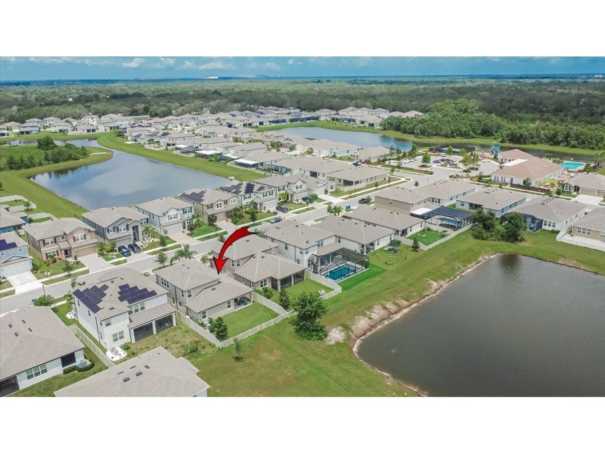 13136 Peachleaf Avenue Riverview FL 33579 TB8406074 image54