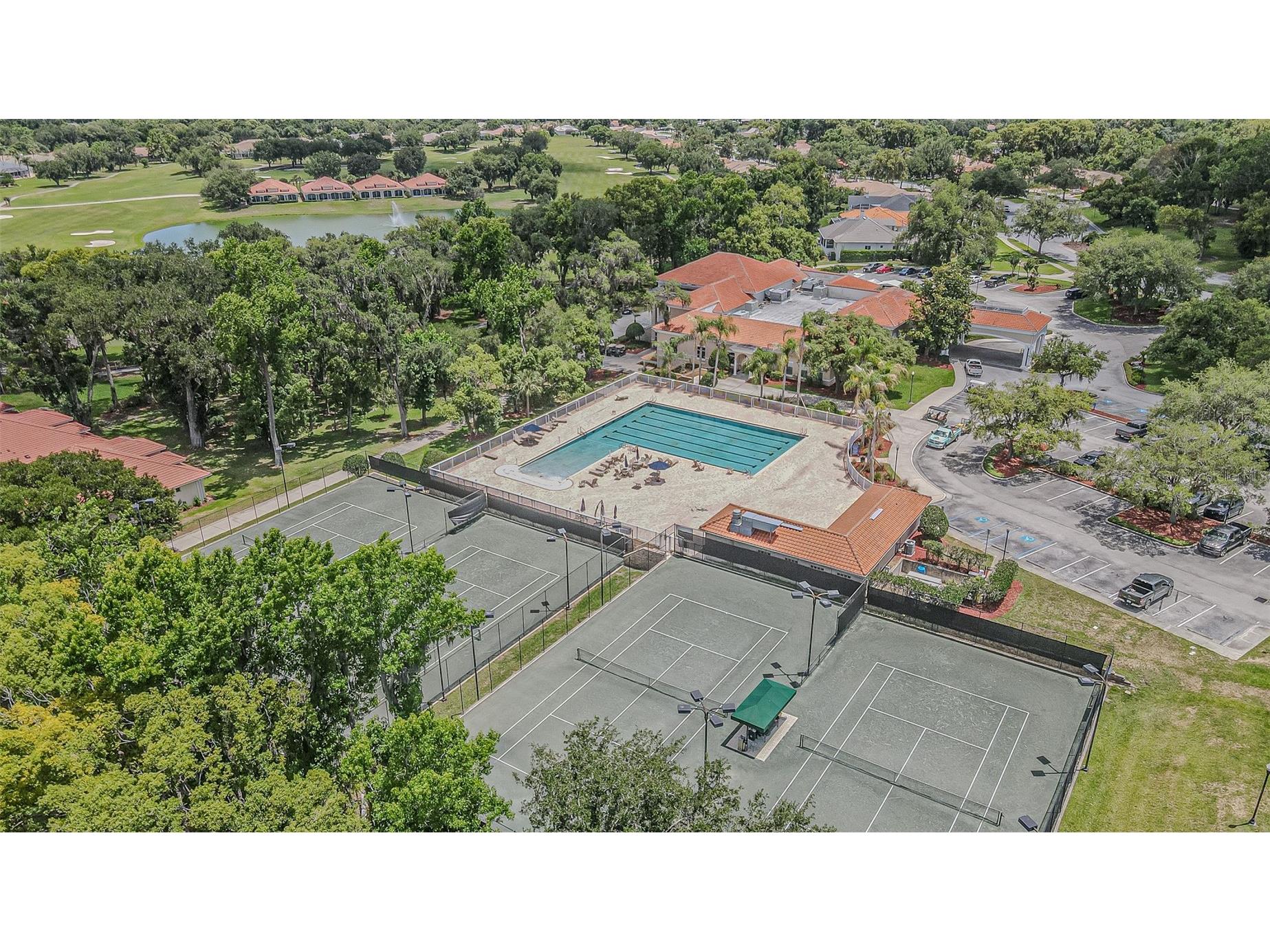13137 Thoroughbred Drive Dade City FL 33525 TB8476264 image86