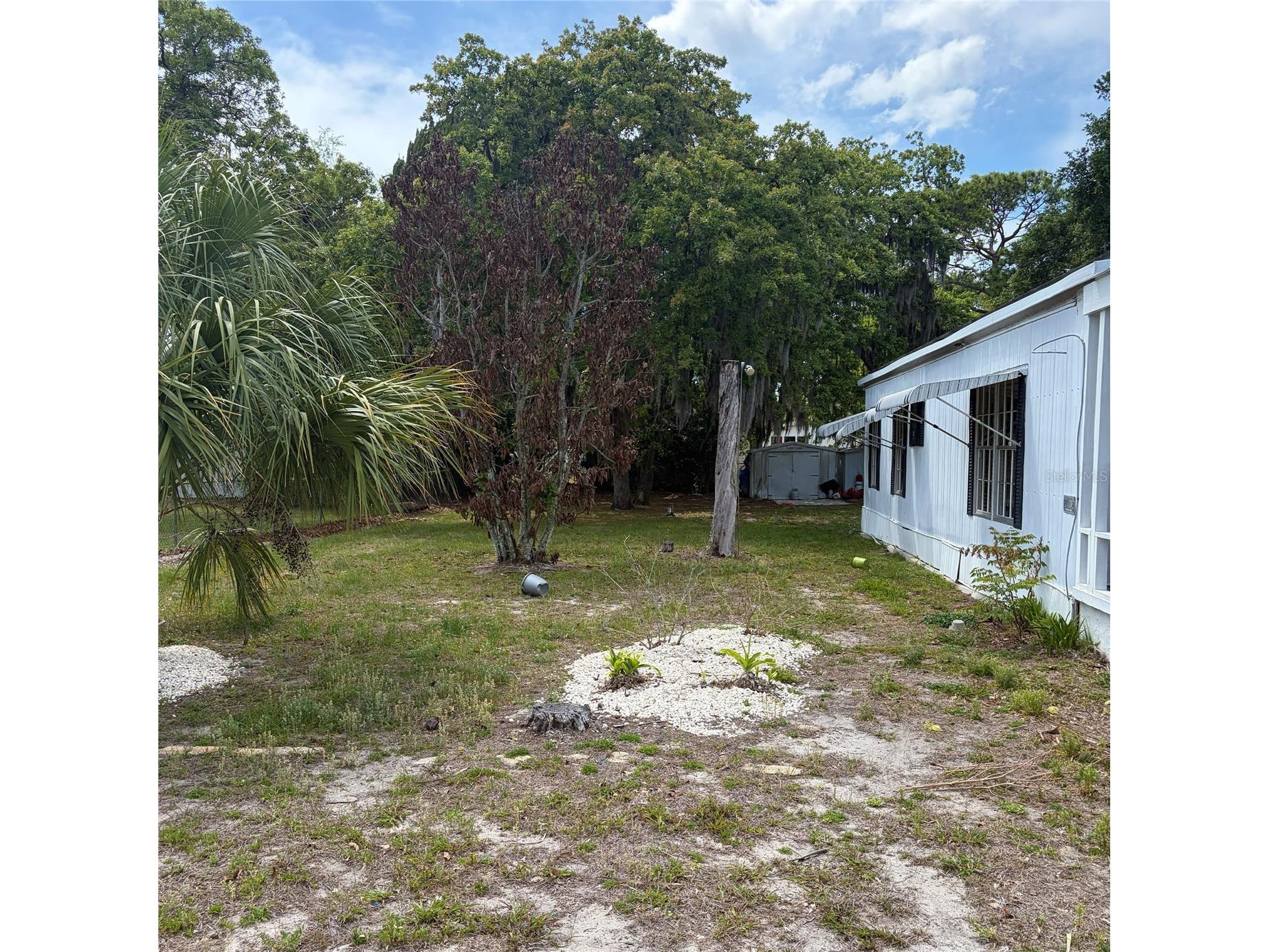 13139 Hicks Road Hudson FL 34669 TB8498925 image4