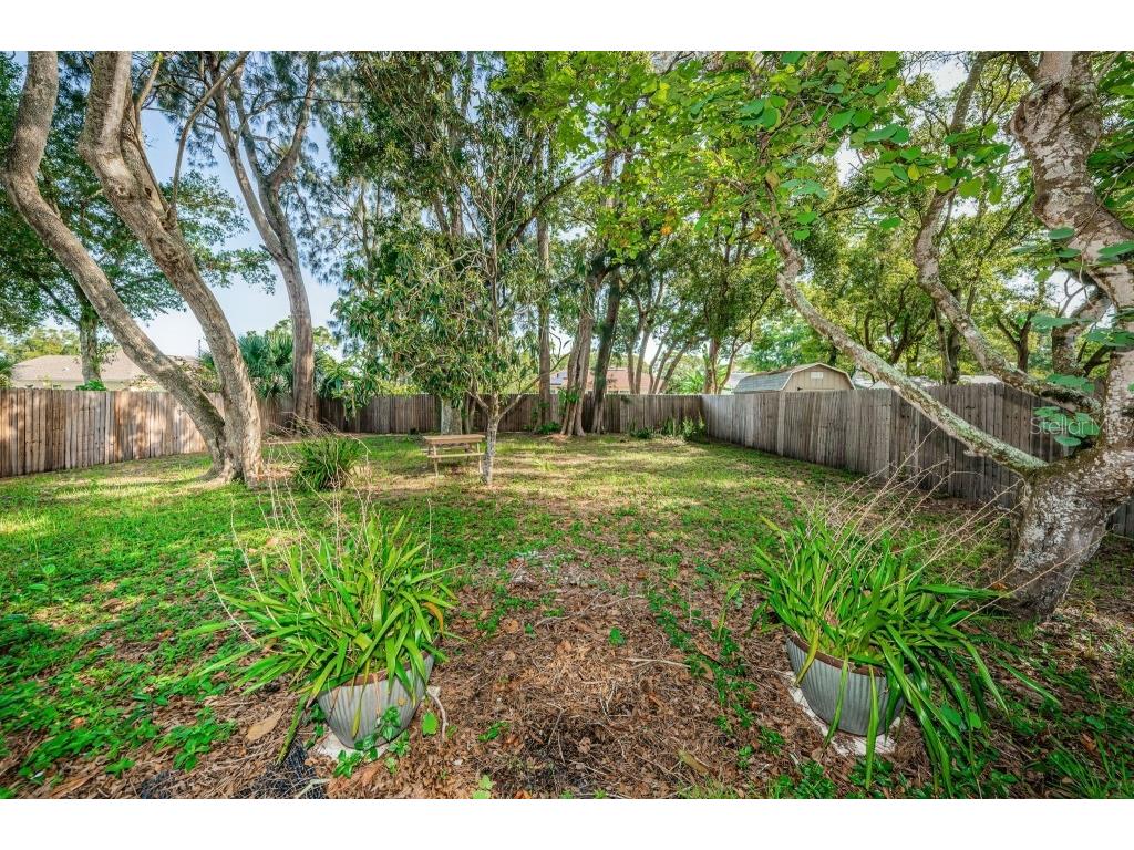 1314 5th Terrace NW Largo FL 33770 TB8439684 image3