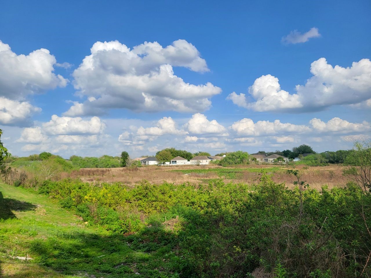 1314 Avonwood Court Lutz FL 33559 TB8513207 image27