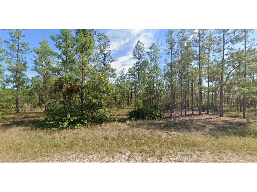 1314 Lake Avenue Lehigh Acres FL 33972 O6243802 image1