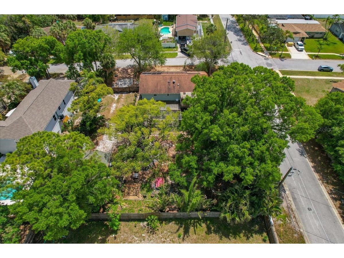 1314 Oleander Drive Tarpon Springs FL 34689 W7884679 image10