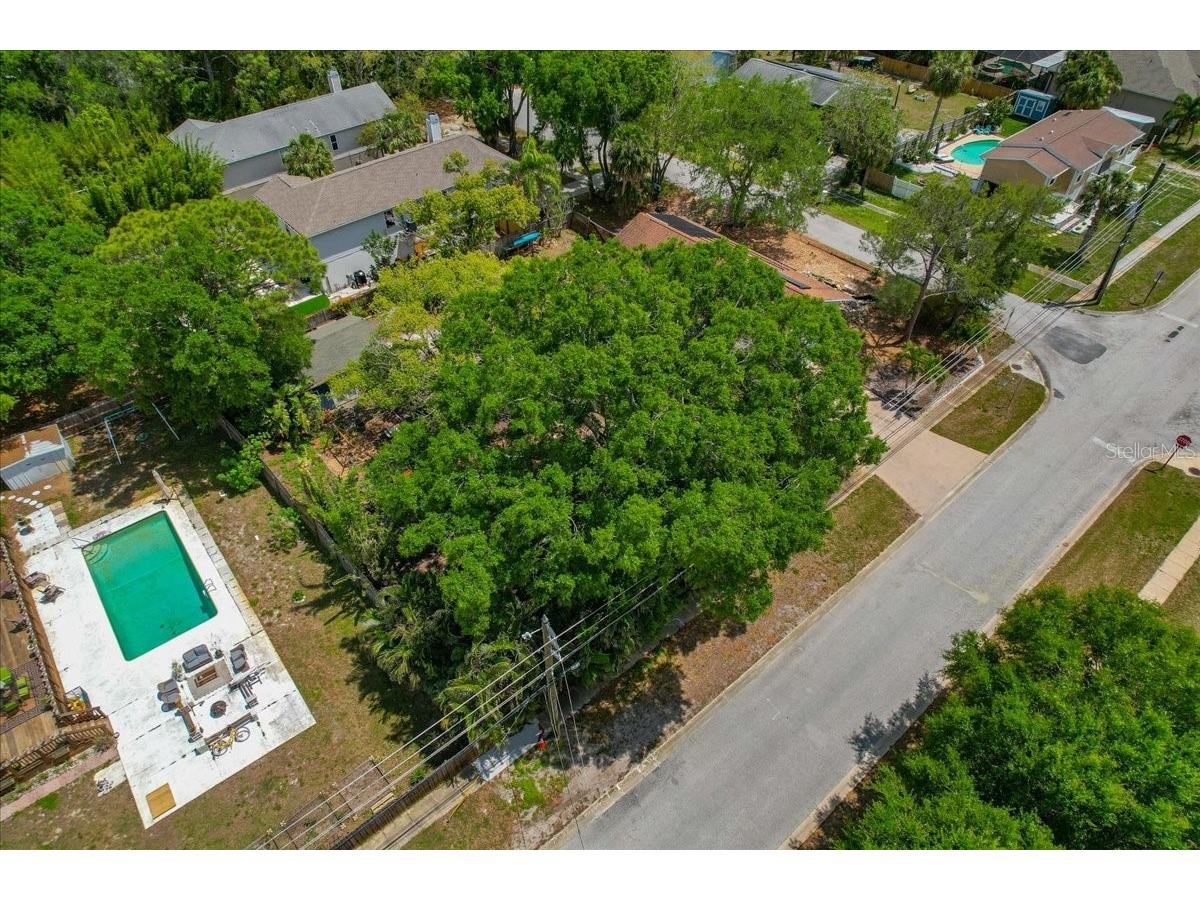 1314 Oleander Drive Tarpon Springs FL 34689 W7884679 image11