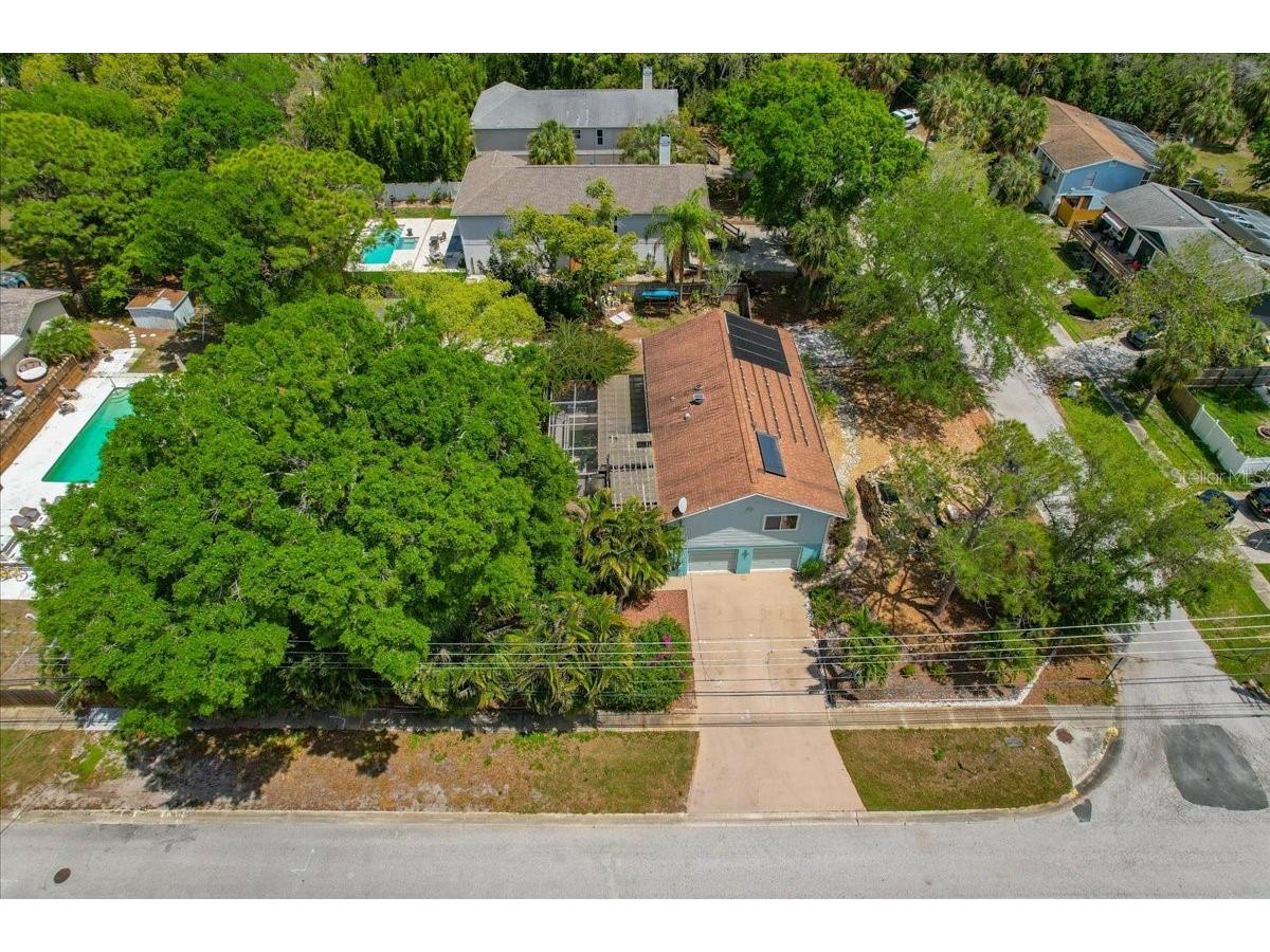 1314 Oleander Drive Tarpon Springs FL 34689 W7884679 image12