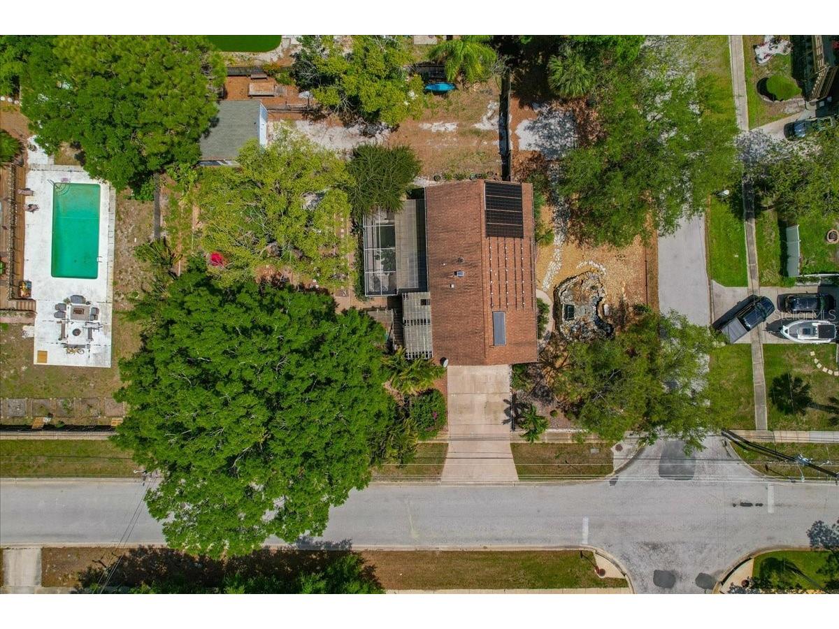 1314 Oleander Drive Tarpon Springs FL 34689 W7884679 image13