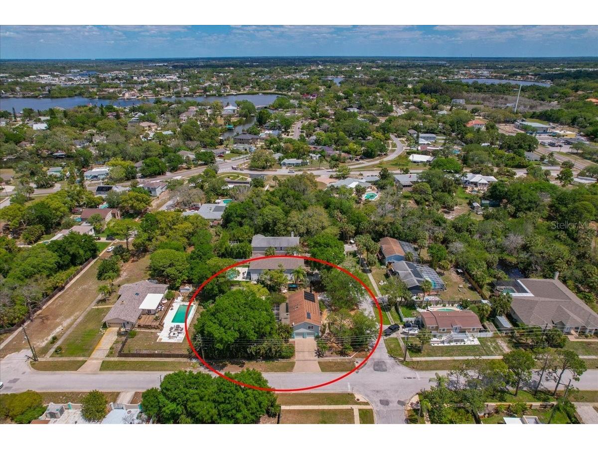 1314 Oleander Drive Tarpon Springs FL 34689 W7884679 image14