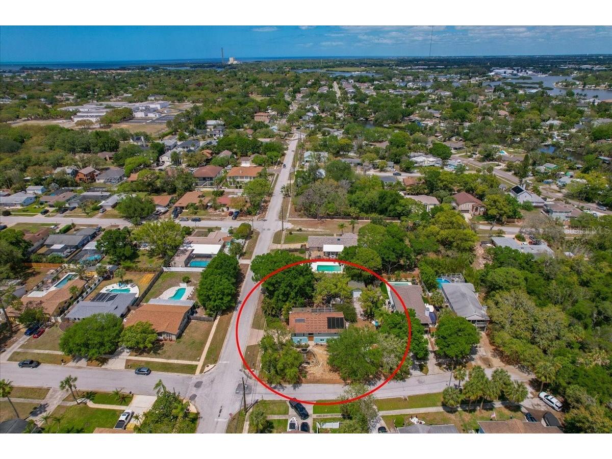 1314 Oleander Drive Tarpon Springs FL 34689 W7884679 image15
