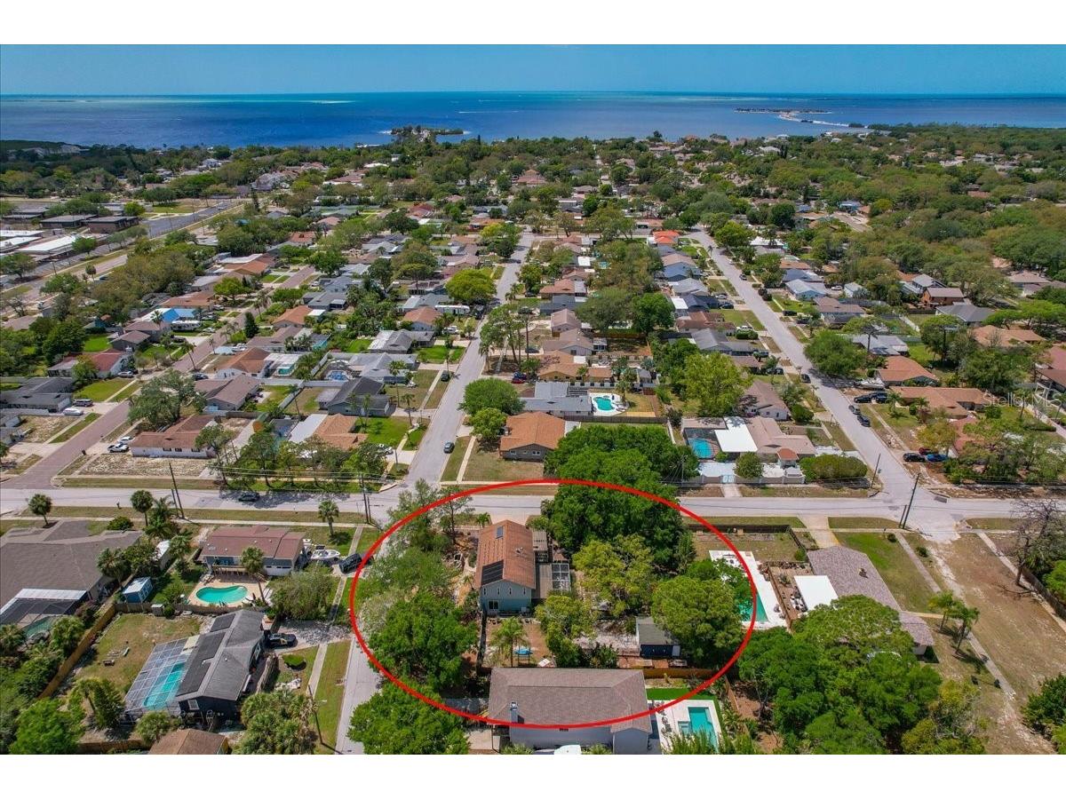 1314 Oleander Drive Tarpon Springs FL 34689 W7884679 image16