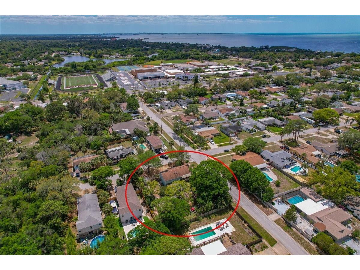 1314 Oleander Drive Tarpon Springs FL 34689 W7884679 image17