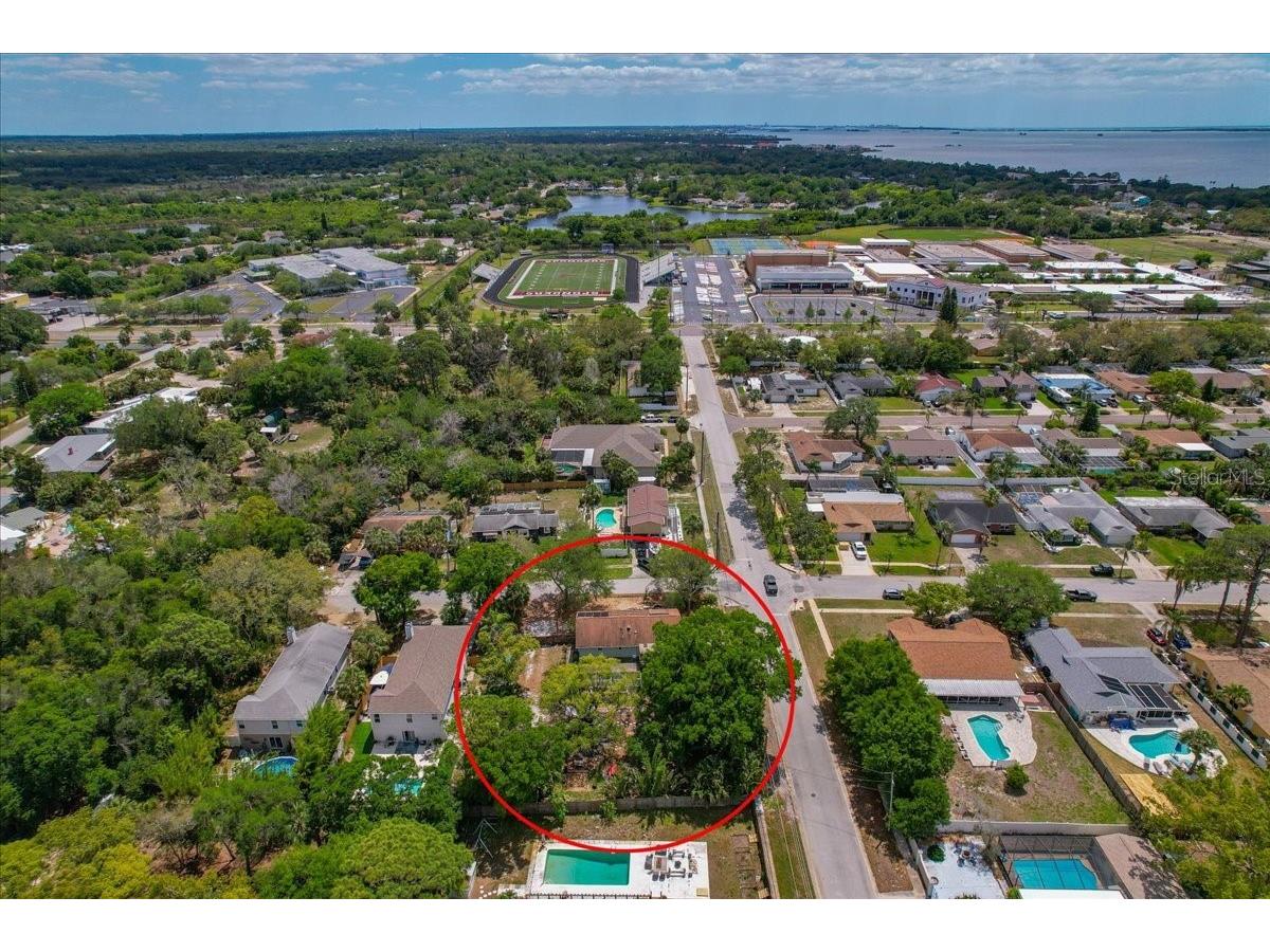 1314 Oleander Drive Tarpon Springs FL 34689 W7884679 image18