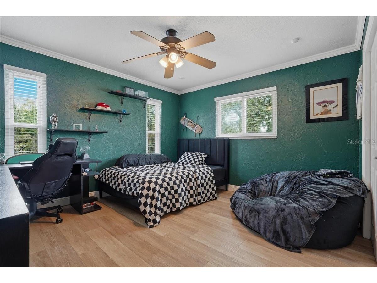 1314 Oleander Drive Tarpon Springs FL 34689 W7884679 image34
