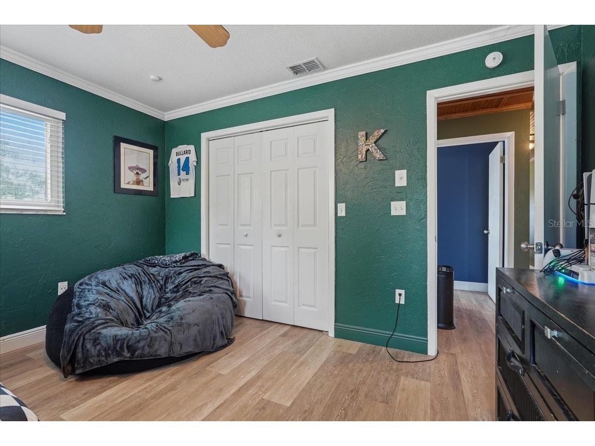 1314 Oleander Drive Tarpon Springs FL 34689 W7884679 image35