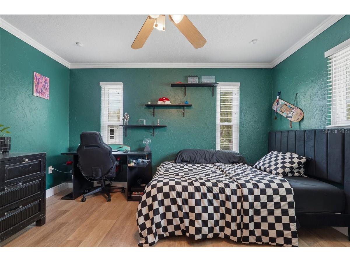 1314 Oleander Drive Tarpon Springs FL 34689 W7884679 image36