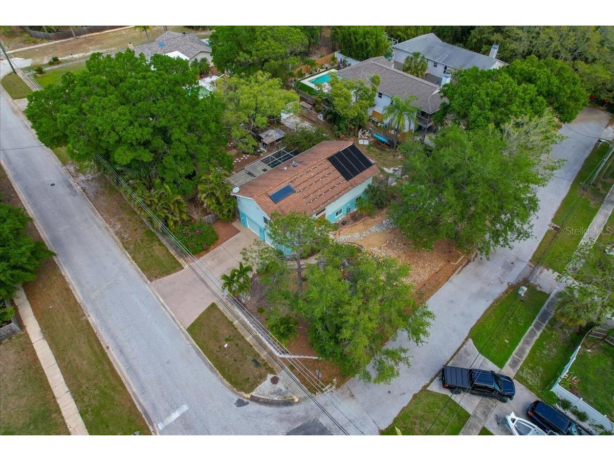 1314 Oleander Drive Tarpon Springs FL 34689 W7884679 image5