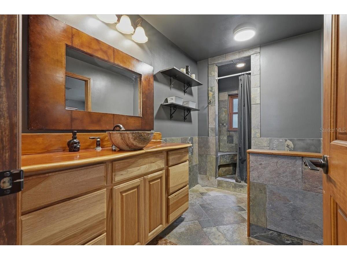 1314 Oleander Drive Tarpon Springs FL 34689 W7884679 image51
