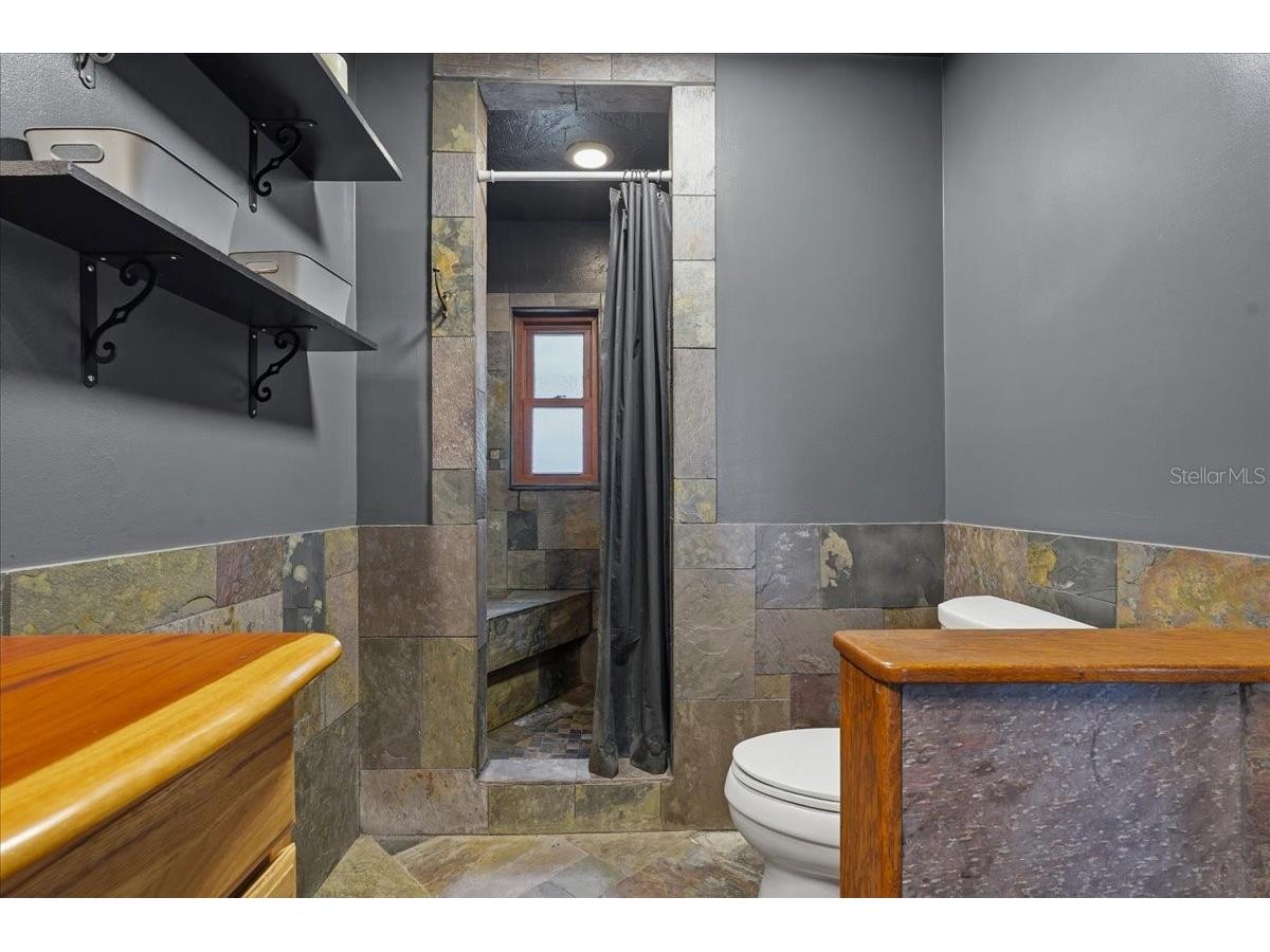 1314 Oleander Drive Tarpon Springs FL 34689 W7884679 image52