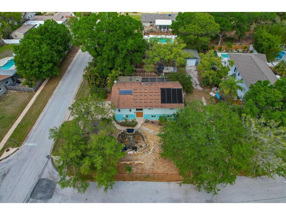 1314 Oleander Drive Tarpon Springs FL 34689 W7884679 image6
